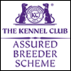 kennel club assured breeder
